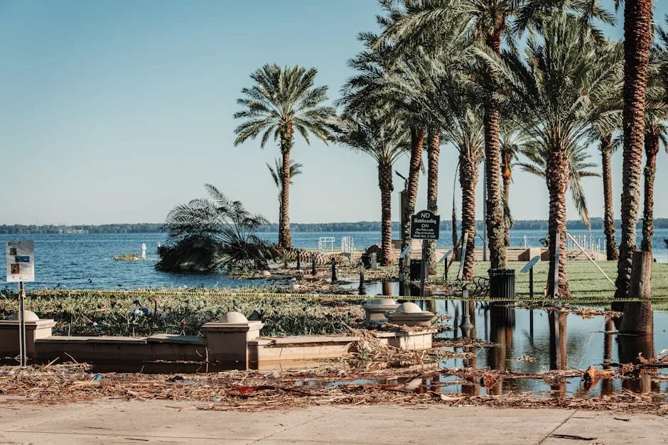 Commercial building prepared for hurricane season in Florida