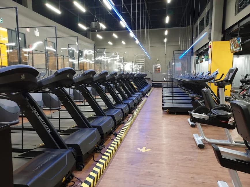 Professional cleaning team maintaining cleanliness and health standards in a commercial gym