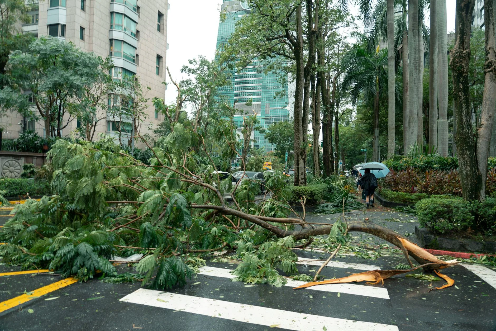 Professional commercial cleaning — Hurricane Cleanup Guide For Businesses