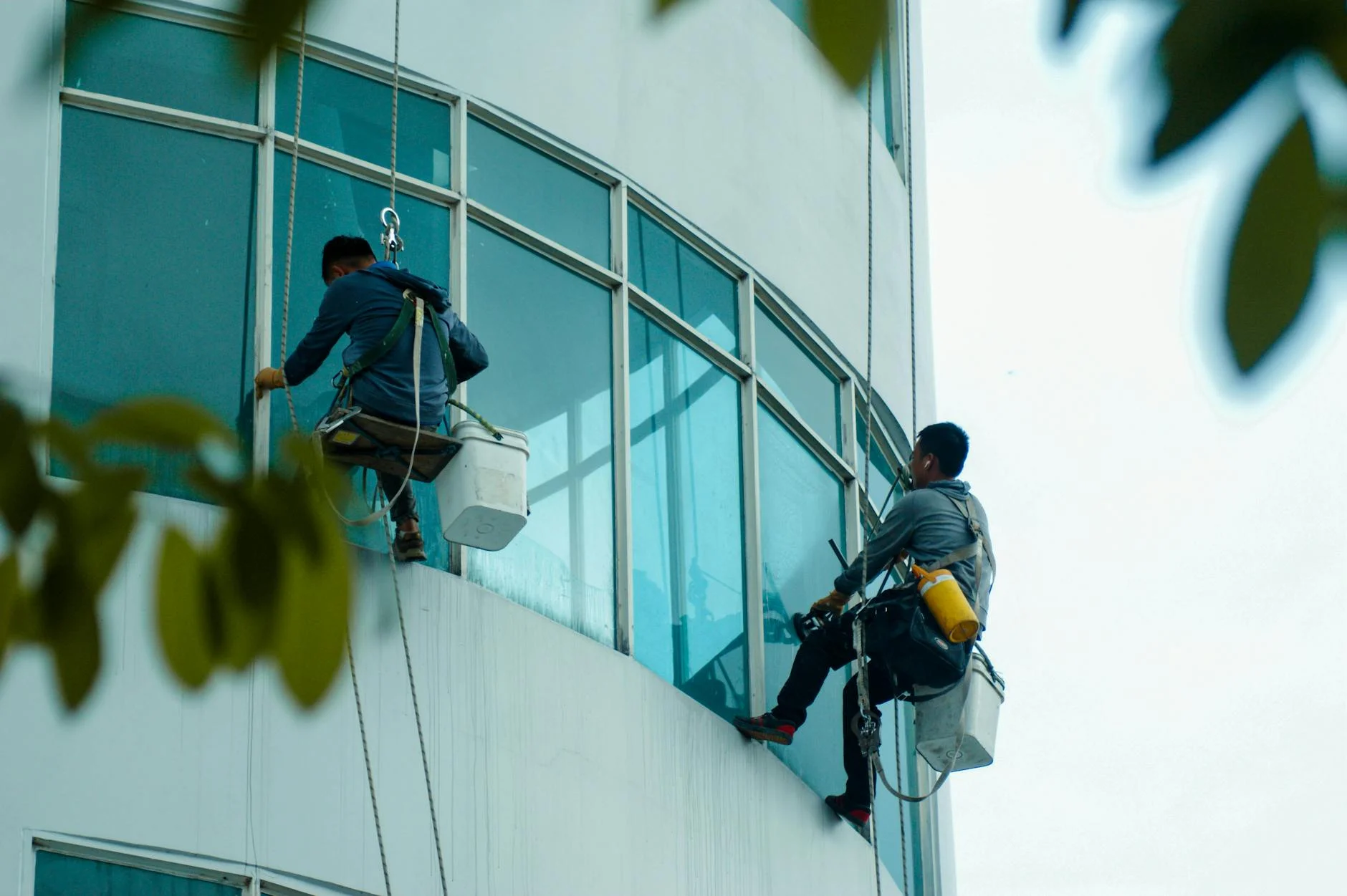 Professional commercial cleaning — Professional Window Cleaning Benefits